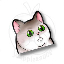 Load image into Gallery viewer, Cat Meme Peekers - joapplesauce