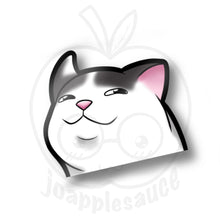 Load image into Gallery viewer, Cat Meme Peekers - joapplesauce