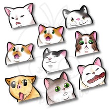 Load image into Gallery viewer, Cat Meme Peekers - joapplesauce