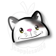 Load image into Gallery viewer, Cat Meme Peekers - joapplesauce