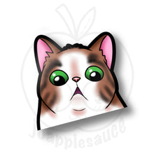 Load image into Gallery viewer, Cat Meme Peekers - joapplesauce