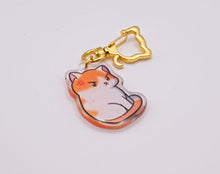 Load image into Gallery viewer, Angy Cat Keychain