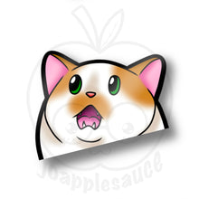 Load image into Gallery viewer, Cat Meme Peekers - joapplesauce